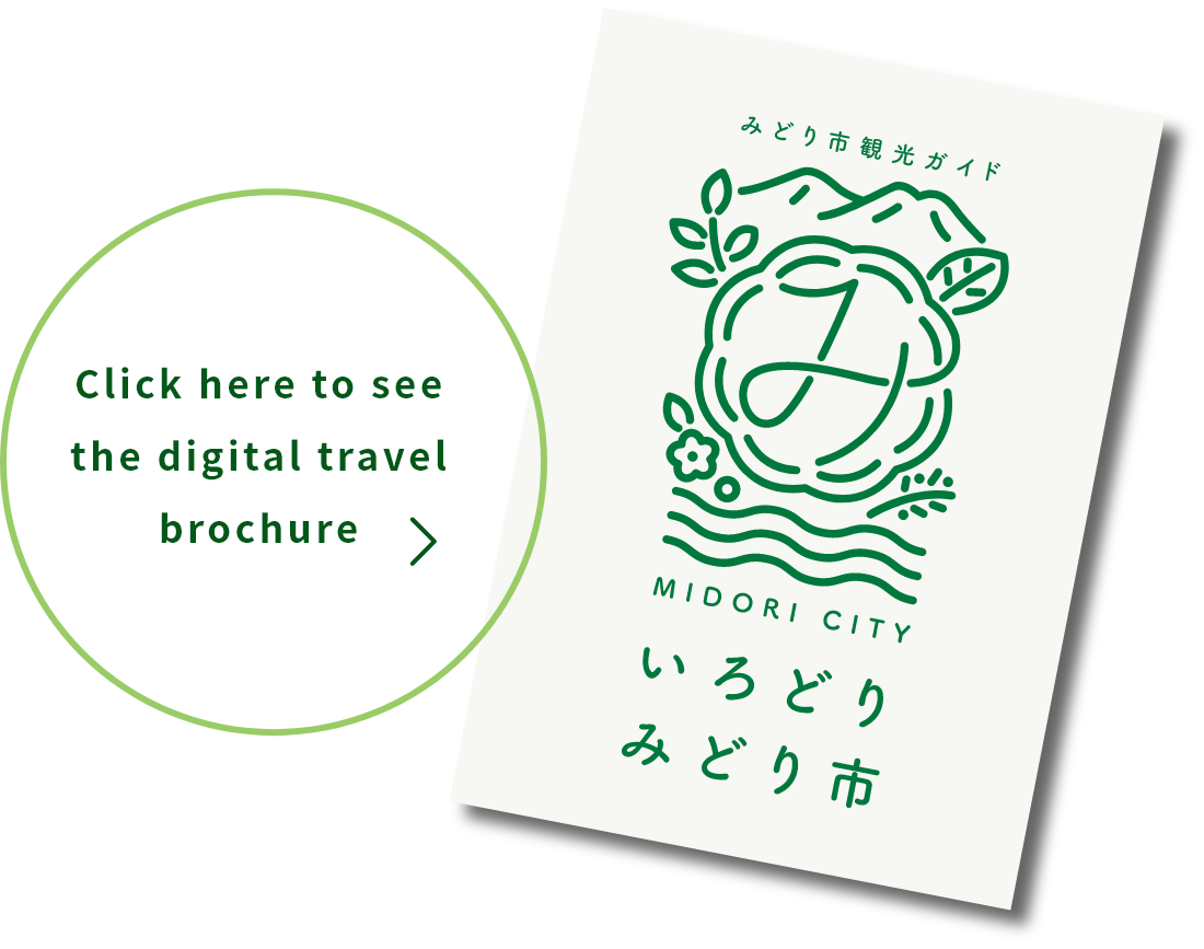 Click here to see the digital travel brochure