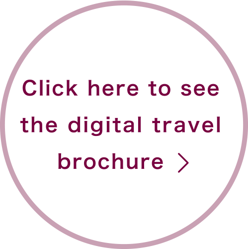 Click here to see the digital travel brochure