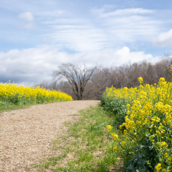 Mt. Shikada Footpath